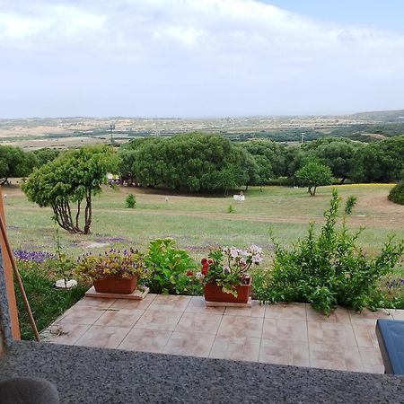 Gli Olivastri: Mediterranean Oasis with Pool and Sea View Aglientu Exterior photo