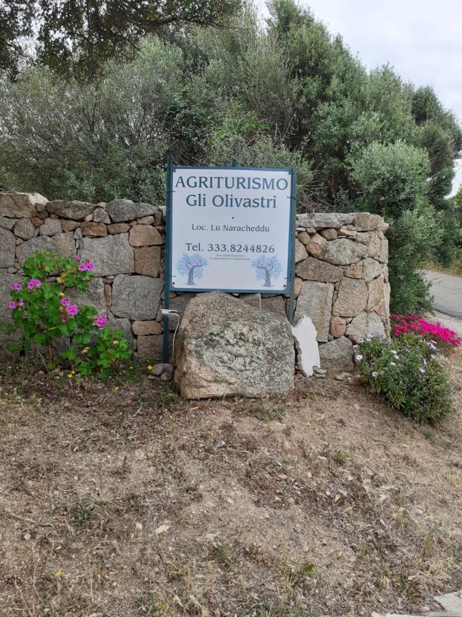 Gli Olivastri: Mediterranean Oasis with Pool and Sea View Aglientu Exterior photo
