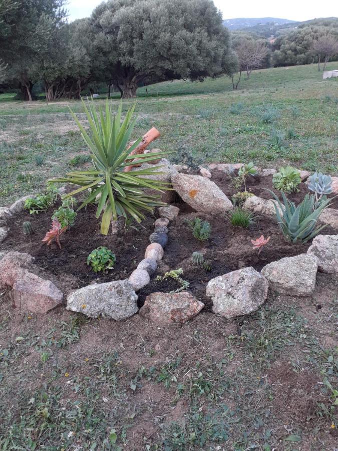 Gli Olivastri: Mediterranean Oasis with Pool and Sea View Aglientu Exterior photo