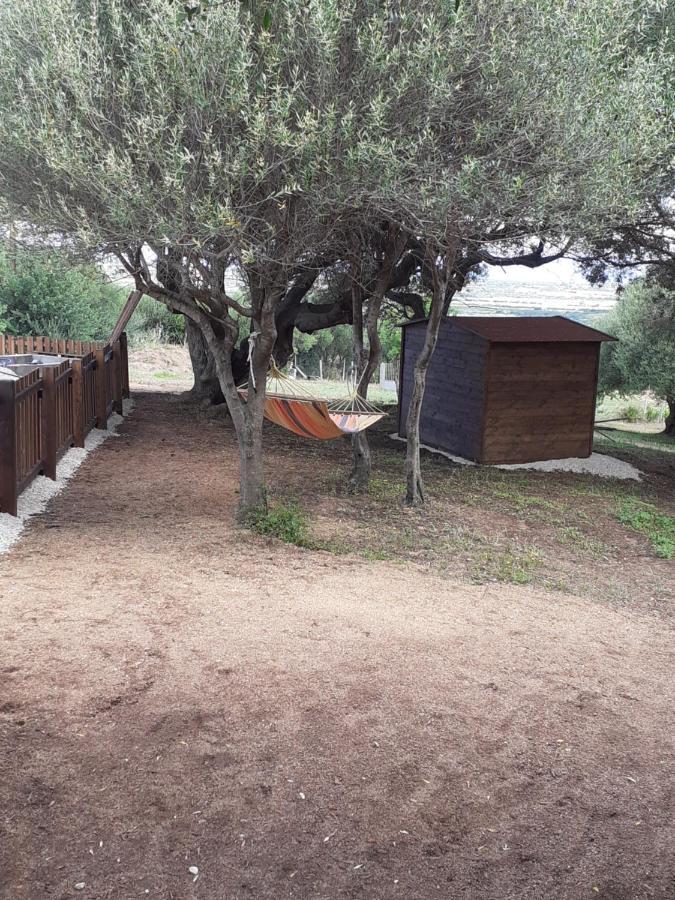 Gli Olivastri: Mediterranean Oasis with Pool and Sea View Aglientu Exterior photo