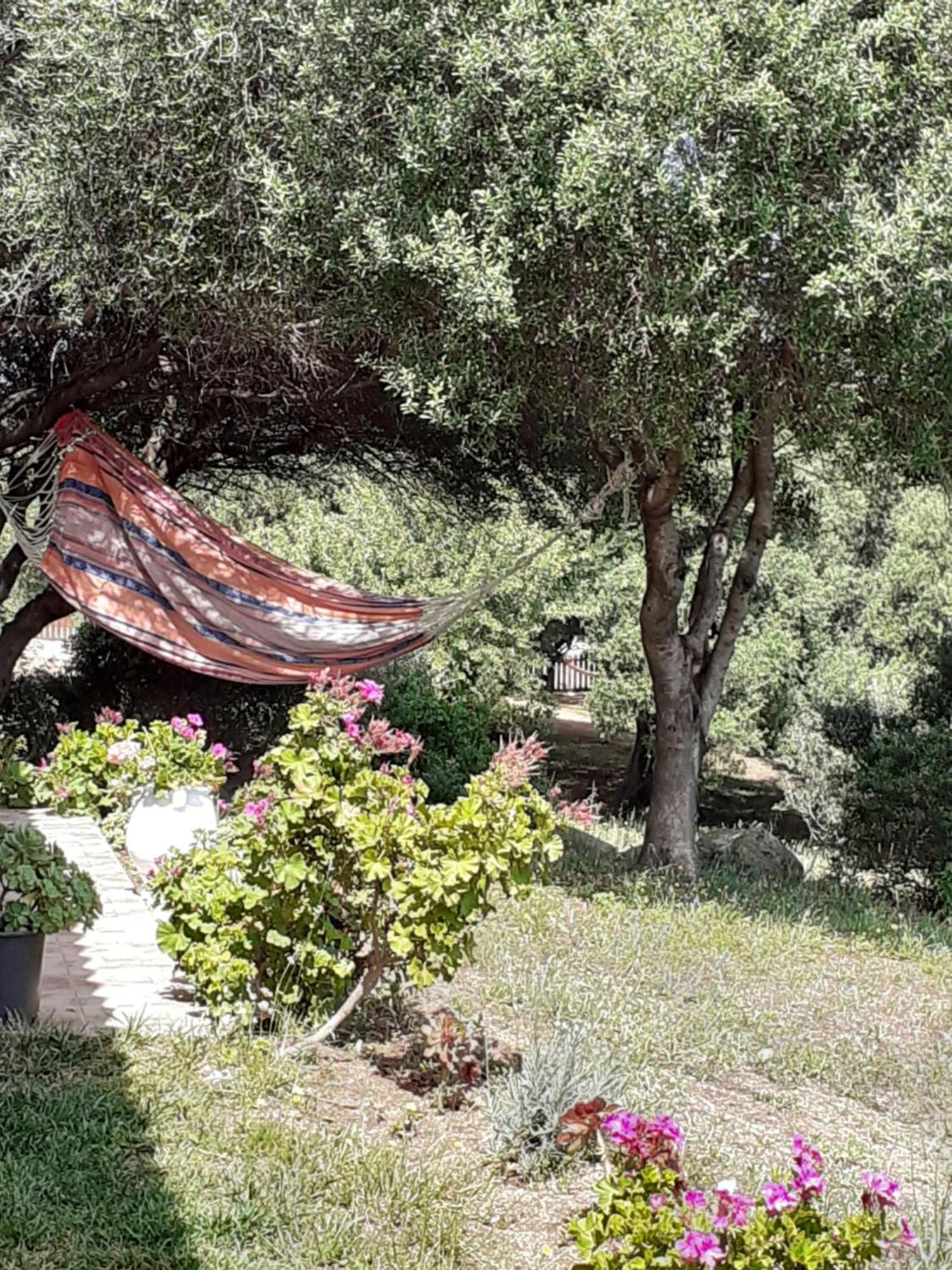 Gli Olivastri: Mediterranean Oasis with Pool and Sea View Aglientu Exterior photo