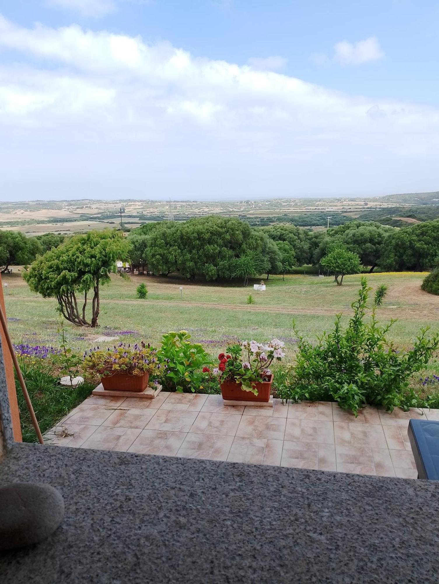 Gli Olivastri: Mediterranean Oasis with Pool and Sea View Aglientu Exterior photo