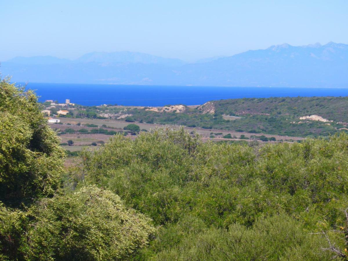 Gli Olivastri: Mediterranean Oasis with Pool and Sea View Aglientu Exterior photo