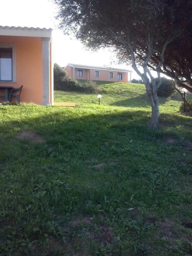 Gli Olivastri: Mediterranean Oasis with Pool and Sea View Aglientu Exterior photo